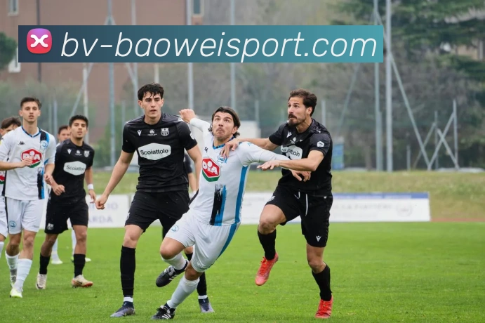 App Interface Preview