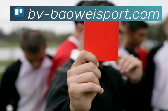 宝威体育APP 封面图